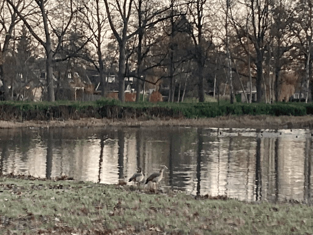 Park wernhoutsburg